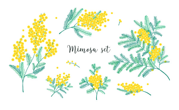 ������� ������ �� ������� ����