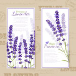 ������ ������������ �������� �� 8 ����� � �������� �������