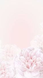 ��� ������� �� 8 ����� � ������� �����